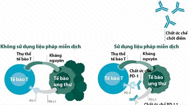 sinh thiết kim phổi - co che dieu tri ung thu cua lieu phap uc che chot kiem soat mien dich