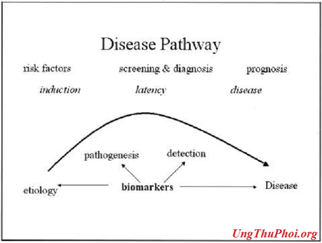 Con đường bệnh tật và tác động tiềm năng của dấu ấn sinh học Biomarkers con duong benh tat va tac dong tiem nang cua dau an sinh hoc