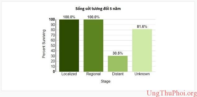 Phần 2: Phần trăm các trường hợp và sống sót tương đối 5 năm theo giai đoạn chẩn đoán Ung thư tuyến tiền liệt phan 2 - phan tram cac truong hop va song sot tuong doi 5 nam theo giai doan chan doan ung thu tuyen tien liet