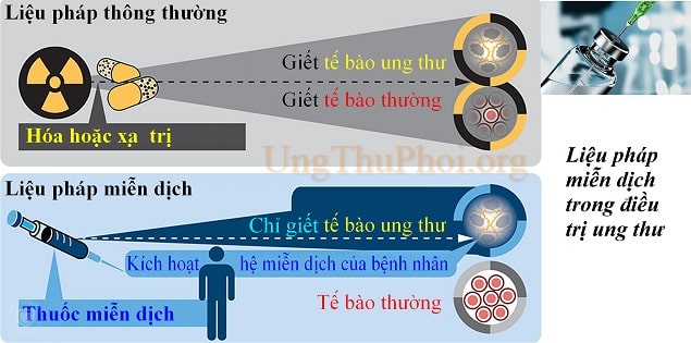 thuoc mien dich mo rong cac lua chon dieu tri cho benh ung thu phoi tien trien (2)