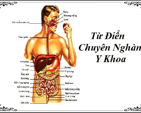 tu dien chuyen nghanh y khoa