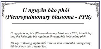 u nguyen bao phoi pleuropulmonary blastoma ppb la gi (2)