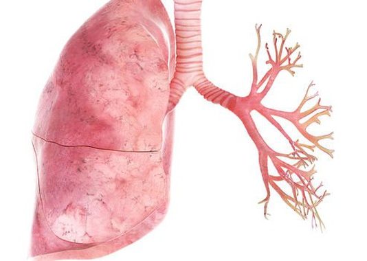 Chớ bỏ qua hiện tượng khó thở, thở gấp ngay cả khi không vận động mạnh - 1