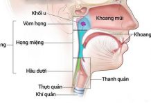 Mách bạn một số dấu hiệu cảnh báo ung thư tai mũi họng - 1