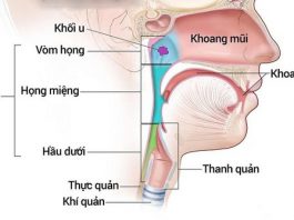 Mách bạn một số dấu hiệu cảnh báo ung thư tai mũi họng - 1