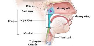 Mách bạn một số dấu hiệu cảnh báo ung thư tai mũi họng - 1