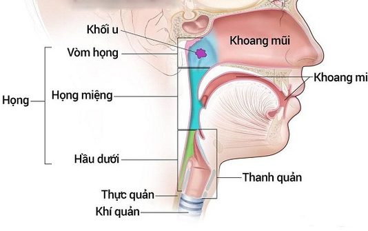 Mách bạn một số dấu hiệu cảnh báo ung thư tai mũi họng - 1