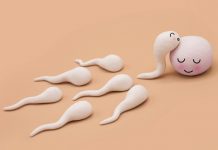 Giải pháp nào cho những bệnh nhân ung thư có nhu cầu sinh con? - 1