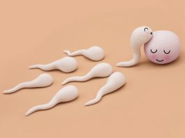 Giải pháp nào cho những bệnh nhân ung thư có nhu cầu sinh con? - 1