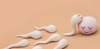 Giải pháp nào cho những bệnh nhân ung thư có nhu cầu sinh con? - 1