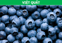 Vì sao các loại rau quả màu tím lại là “khắc tinh” của ung thư? Vì sao các loại rau quả màu tím lại là “khắc tinh” của ung thư? - 1