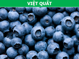 Vì sao các loại rau quả màu tím lại là “khắc tinh” của ung thư? - 1