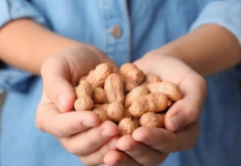 Ăn đậu phộng hàng ngày có thể ngăn ngừa bệnh tim và ung thư - 1