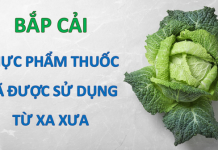 Loại rau luôn sẵn có ở chợ Việt là kẻ thù của ung thư và tiểu đường Loại rau luôn sẵn có ở chợ Việt là kẻ thù của ung thư và tiểu đường - 1