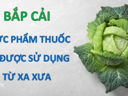 Loại rau luôn sẵn có ở chợ Việt là kẻ thù của ung thư và tiểu đường - 1