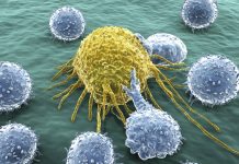 Phát hiện “công tắc” biến thuốc thông thường thành vũ khí chống ung thư - 1