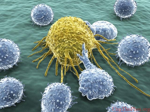 Phát hiện “công tắc” biến thuốc thông thường thành vũ khí chống ung thư - 1