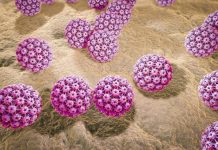 Loại virus nguy hiểm gây ung thư bộ phận sinh dục cả nữ và nam Loại virus nguy hiểm gây ung thư bộ phận sinh dục cả nữ và nam - 1