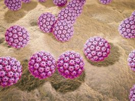 Loại virus nguy hiểm gây ung thư bộ phận sinh dục cả nữ và nam - 1