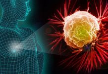 Giải mã “bí mật” giúp ung thư kháng lại các phương pháp điều trị Giải mã “bí mật” giúp ung thư kháng lại các phương pháp điều trị - 1