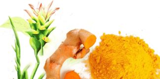 Thực phẩm vàng phòng chống ung thư bạn không nên bỏ qua - 1