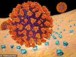 Thuốc ung thư thử nghiệm ngăn chặn virus corona nhân lên trong cơ thể - 1