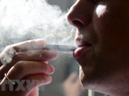 Khói thuốc lá hay nicotin chính là yếu tố gây nên bệnh ung thư? - 1