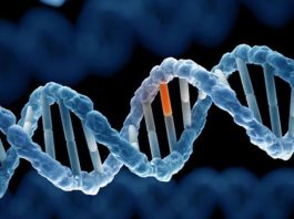 Bất hoạt gene - kỹ thuật mới giúp trị ung thư vú khó chữa - 1