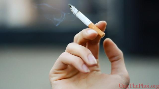 Muốn phòng ngừa ung thư triệt để, trước hết cần tránh xa 4 điều này - 5 Muốn phòng ngừa ung thư triệt để, trước hết cần tránh xa 4 điều này - 5