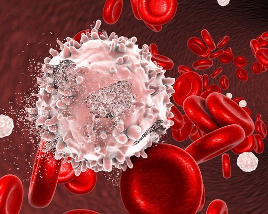 Các bác sĩ “nâng cấp” hệ miễn dịch để điều trị ung thư máu như thế nào? - 1