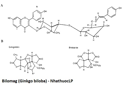 Bilomag (Ginkgo biloba) - NhathuocLP