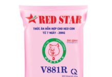 Mostbet Azerbaycan – en genis oyun secimi