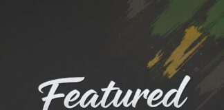 Free Spins Promotions & Provably Fair Gaming for Canadian Players Article illustration