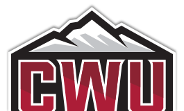 Dashboard view showing custom AMM pool weights and fee settings