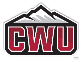 Dashboard view showing custom AMM pool weights and fee settings