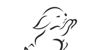 Screenshot of a wallet showing a simulated swap outcome with warnings