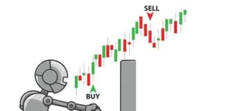 Crypto trading bot