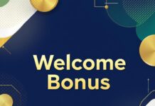 Crazy Time live game show action for NZ VIPs