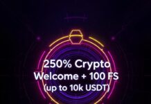 Record Crypto Jackpot & Bankroll Playbook for Canadian High Rollers Canadian high roller celebrating a crypto jackpot payout