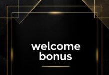 Canadian high-roller gaming session with phone apps