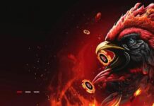 Canadian player at a live dealer blackjack table with high-RTP slots on mobile