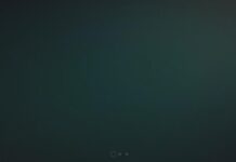 Ilustración del artículo