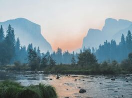 Fishing by a tranquil lake in the UK