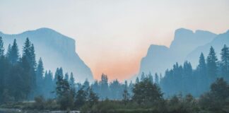 Fishing by a tranquil lake in the UK