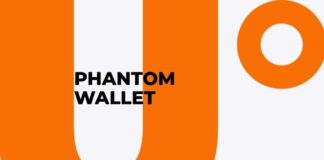 Phantom wallet interface showing NFT gallery and transaction history
