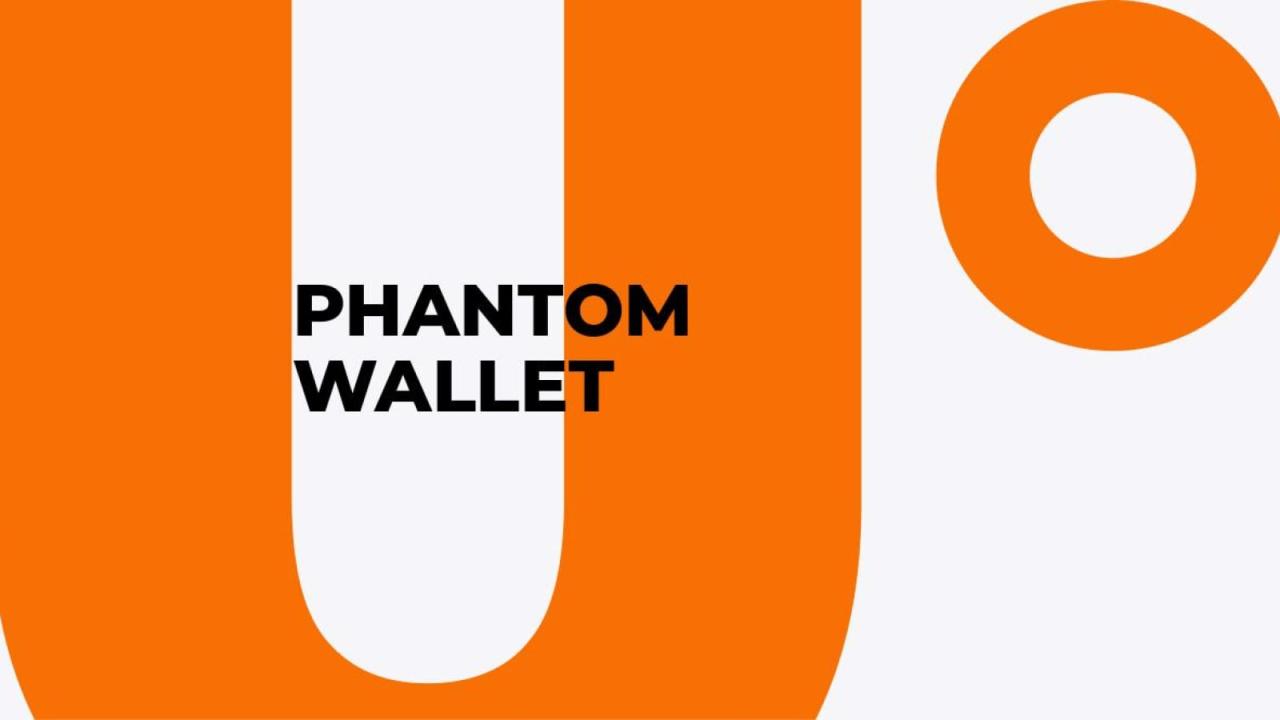 Phantom wallet interface showing NFT gallery and transaction history