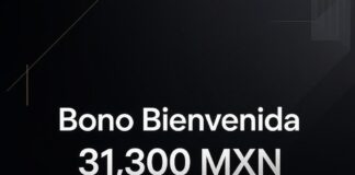 1Xslot: resumen y funciones clave para jugadores en MX