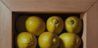 Lemons in Box: An Oil Painting Demo | Lemon painting, Painting demo ...