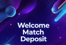 Paradise 8 Casino: Best Games and Slots, Compared for Practical Play