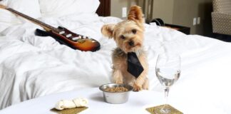 Seminole Hard Rock Hotel and Casino, Hollywood | The Family Hotel Guide